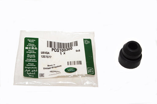 PCG100300LR - MOUNTING - RUBBER