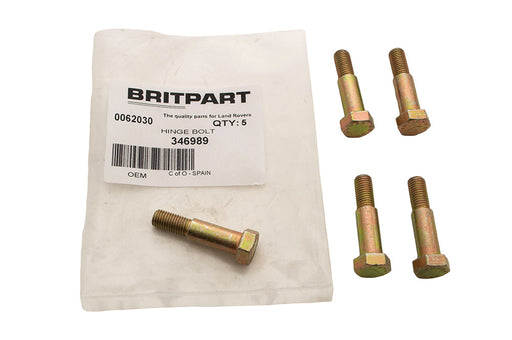 346989 - HINGE BOLT