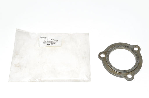 528690 - RETAINING PLATE