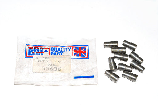 55636 - DOWEL