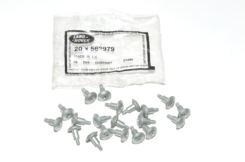 562979LR - SPECIAL SCREW