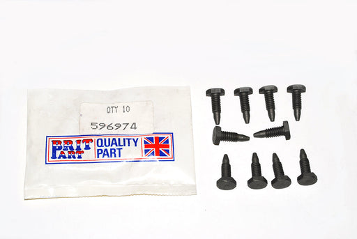 596974 - SCREW