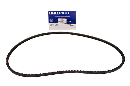 613602 - FAN BELT