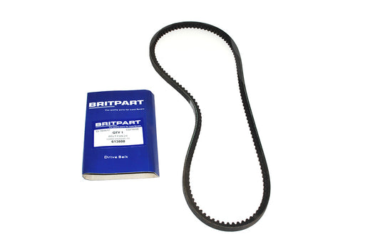 613808 - BELT FAN 24