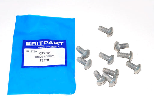 78329 - DRIVE SCREW