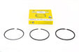 8510071G - KIT-PISTON RING