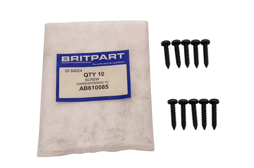 AB610085 - SCREW