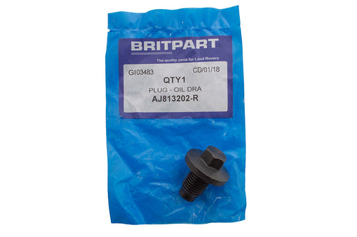 AJ813202-R - PLUG - OIL DRA