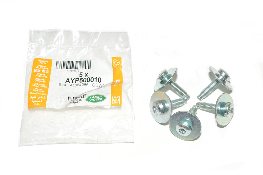 AYP500010LR - SCREW AND WASHER ASY