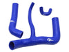 DA4568 - SILICONE COOLANT HOSE KIT - D1 200TDI