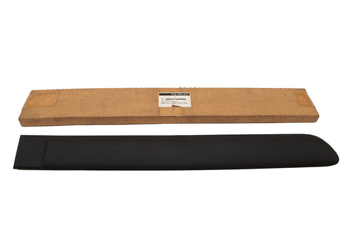DGD101660PMA - RUBBING STRIP ASSEMBLY-REAR DOOR