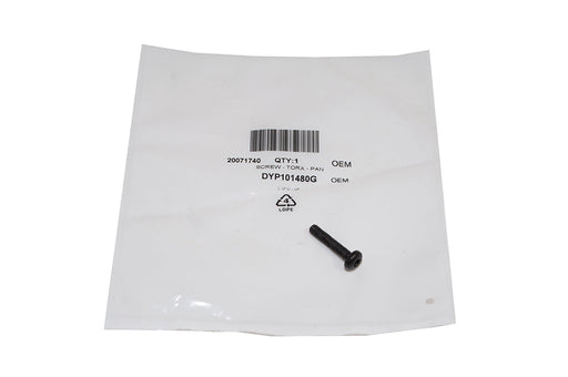 DYP101480G - SCREW - TORX - PAN
