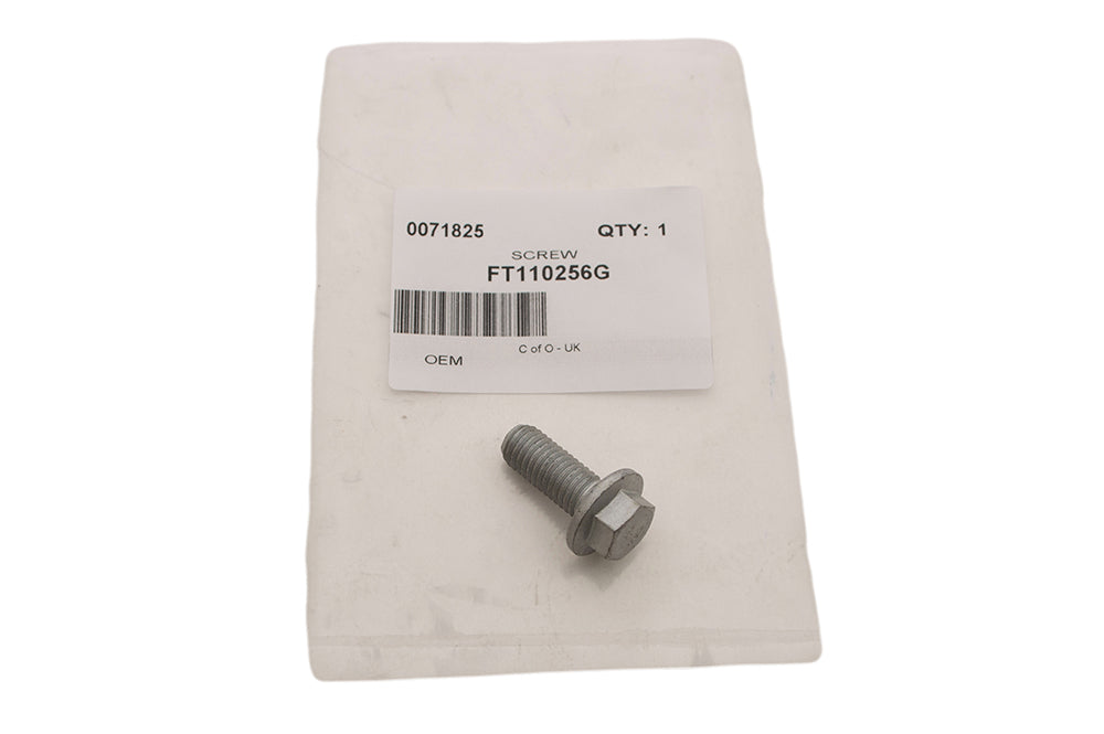 FT110256G - SCREW