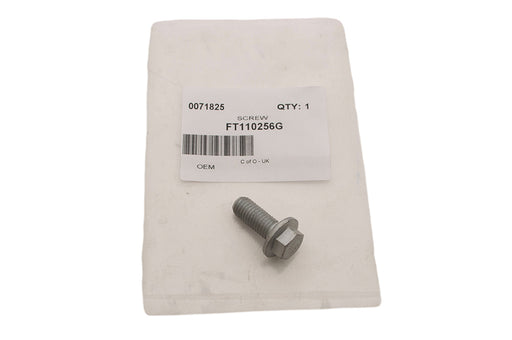 FT110256G - SCREW