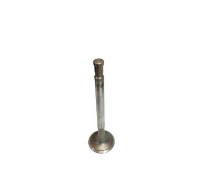 Silver exhaust valve 