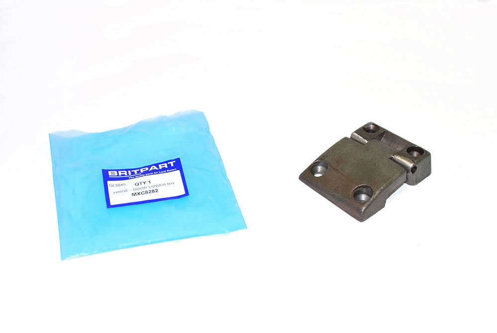 MXC8282 - HINGE - DOOR LOWER RH