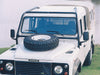 RBL2057SSS - ROLL CAGE