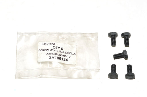 SH106124 - SCREW