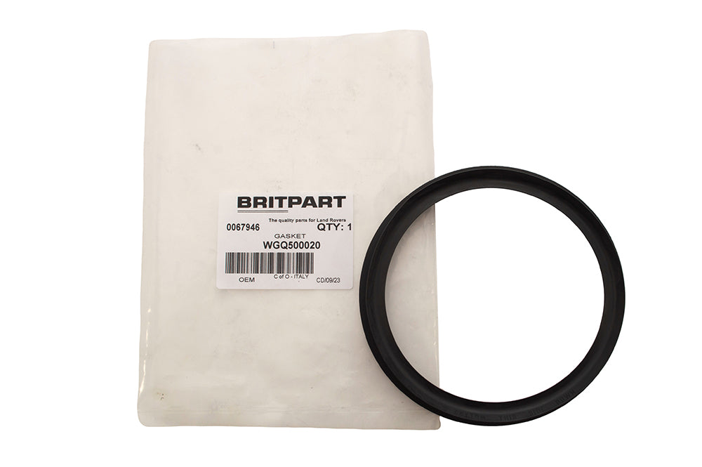 WGQ500020 - GASKET