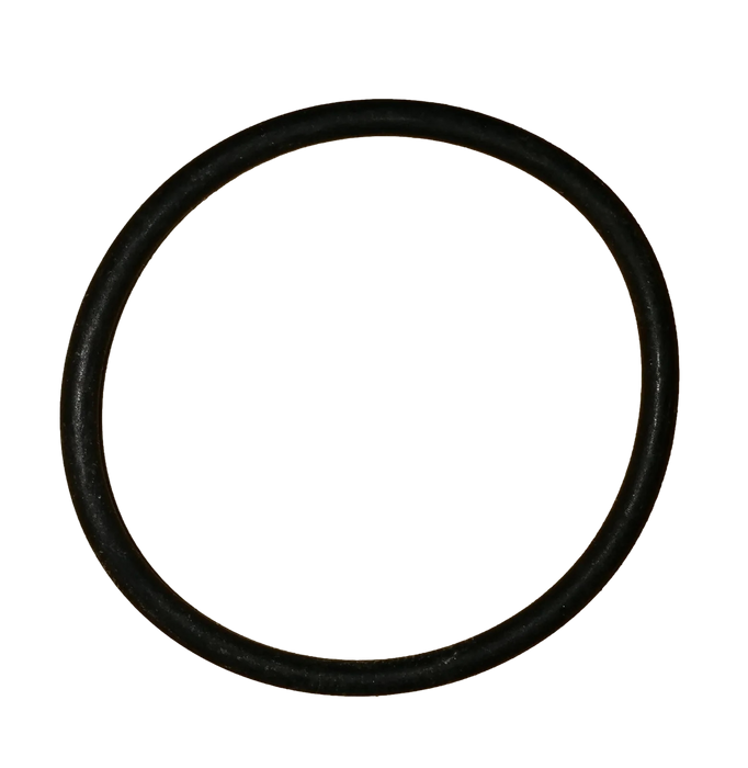 268887 - O RING